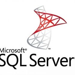 Microsoft SQL Server 2019 - Authentic License Key - Standard, 1 PC